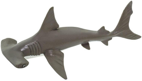 Safari Ltd Hammerhead Shark Baby - Manufacturer Picture