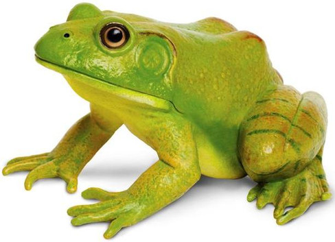 Safari Ltd. Toy Figure - American Bullfrog