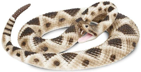 Safarit Ltd Eastern Diamondback Rattlesnake - Full Body Picture