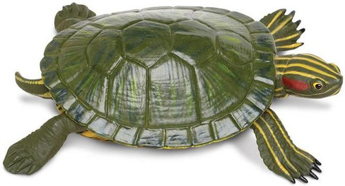 Safari Ltd. - Incredible Creatures - Red-Eared Slider Turtle - Side View