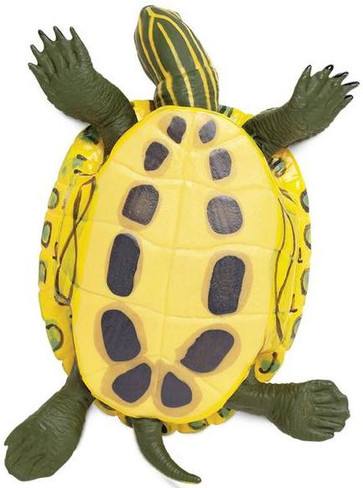 Safari Ltd. - Incredible Creatures - Red-Eared Slider Turtle - Belly View