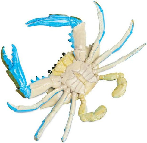 Safari Ltd. - Incredible Creatures - Blue Crab - Belly View