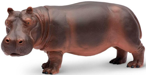 Safari Ltd. Toy Figure - Hippopotamus
