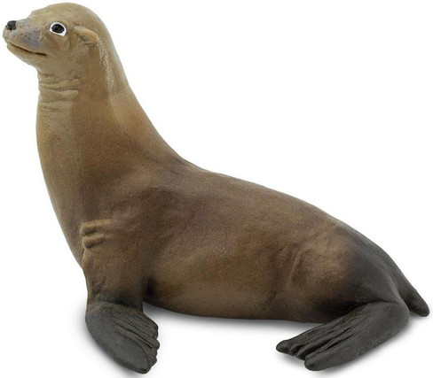 Safari Ltd. Toy Figure - Sea Lion
