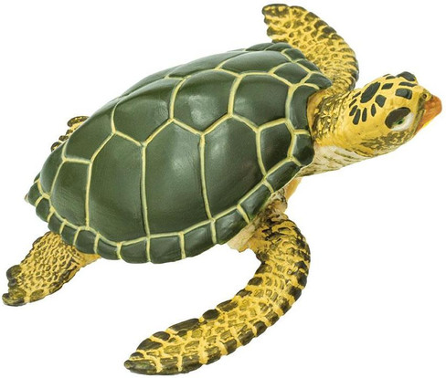 Safari Ltd. - Sea Life Collection - Green Sea Turtle - Manufacturer Picture