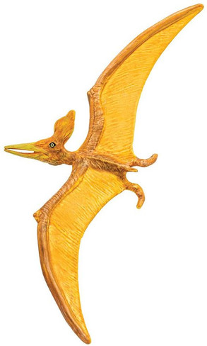 Safari Ltd. Pteranodon - Top View