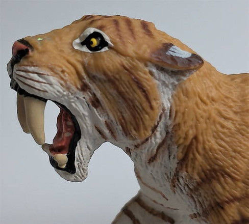 Safari Ltd. Smilodon Figure - Close Up Head View