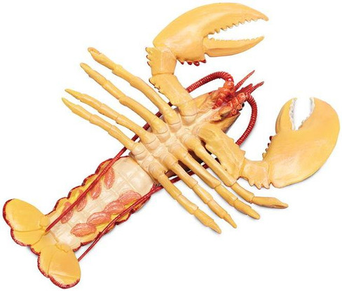 Safari Ltd. - Incredible Creatures - Maine Lobster Figure - Belly View