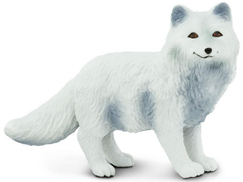 Safari Ltd. - North American Wildlife - Arctic Fox - Manufacturer Picture