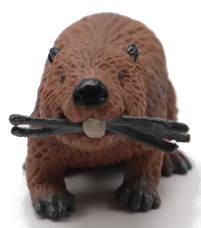 Safari Ltd Beaver Figure - Front View