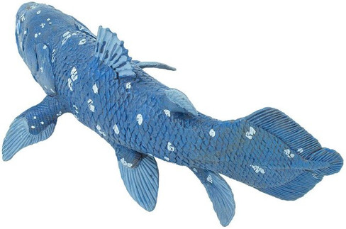 Safari Ltd. - Coelacanth Figure - Top View