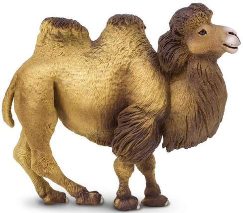 Safari Ltd. Toy Figure - Bactrian Camel