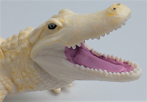 Safari Ltd. White Alligator - Close Up Face View