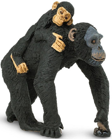 Safari Ltd. - Wildlife Collection - Chimpanzee with Baby - Front View