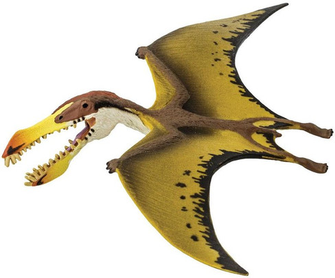 Safari Ltd. Pterosaur - Back View