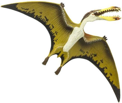 Safari Ltd. Pterosaur - Belly View