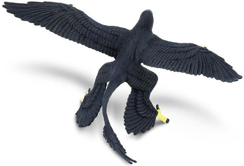 Safari Ltd. Microraptor - Rear View