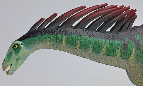 Safari Ltd. Amargasaurus - Close Up Head View