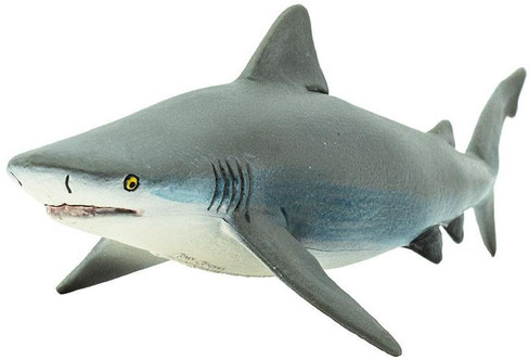 Safari Ltd Bull Shark - Front Angle View