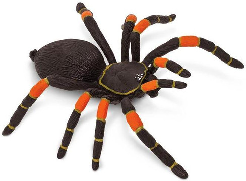 Safari Ltd. Toy Figure - Spider - Orange Kneed Tarantula