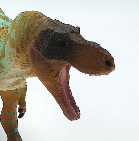 Safari Ltd. Albertosaurus - Close Up Head View