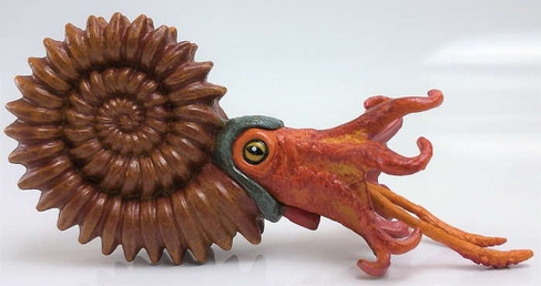 Safari Ltd Ammonite - Left Side View