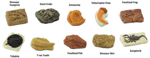 Safari Ltd. Toy Figure - Ancient Fossils Toob- Contents Picture