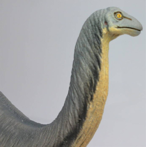 Safari Ltd. Apatosaurus Dinosaur Figure - Close Up Head View