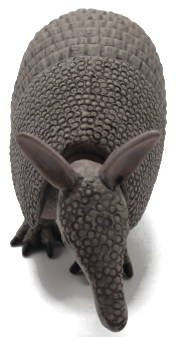 Safari Ltd Armadillo - Front View