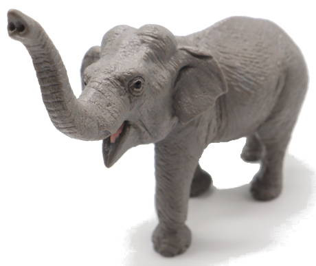 Safari Ltd. Asian Elephant - Front Angle View