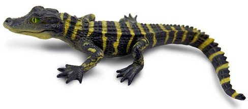 Safari Ltd Baby Alligator - Manufacturer Picture