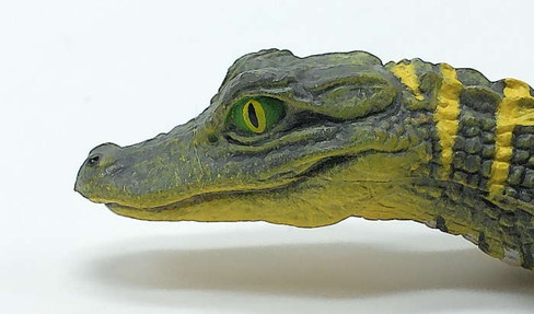 Safari Ltd Baby Alligator - Close Up Face View