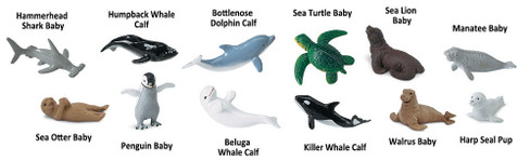 Safari Ltd. Toy Figure - Baby Sea Life Toob- Contents Picture