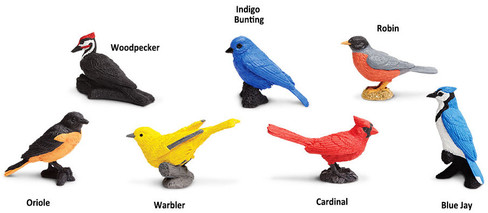 Safari Ltd. - TOOB Collection - Backyard Birds Toob - Contents Picture