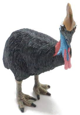 Safari Ltd. Cassowary Bird - Front Angle View