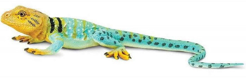 Safari Ltd. Toy Figure - Collared Lizard