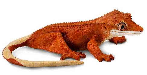 Safari Ltd. Crested Gecko Lizard Figure