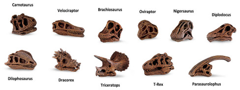 Safari Ltd. Toy Figure - Dinosaur Skulls Toob- Contents Picture
