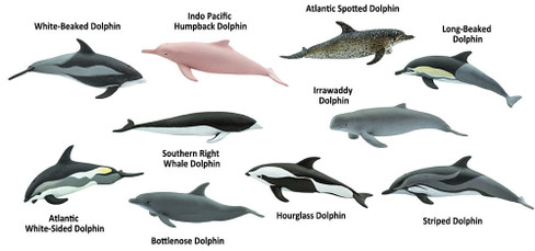 Safari Ltd. Dolphins Toob - Contents View
