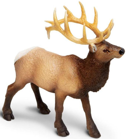 Safari Ltd. Elk View - Front Angle View