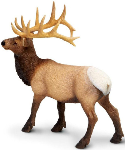 Safari Ltd. Elk View - Side Angle View