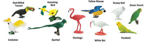 Safari Ltd. Toy Figure - Exotic Birds Toob- Contents Picture