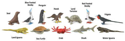 Safari Ltd. Toy Figure - Galapagos Toob- Contents Picture