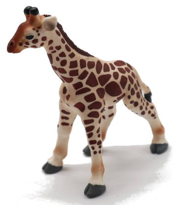 Safari Ltd. Giraffe Baby - Front Angle View