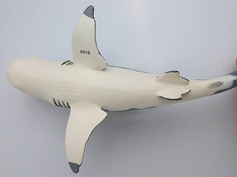 Safari Ltd. Megalodon - Belly View