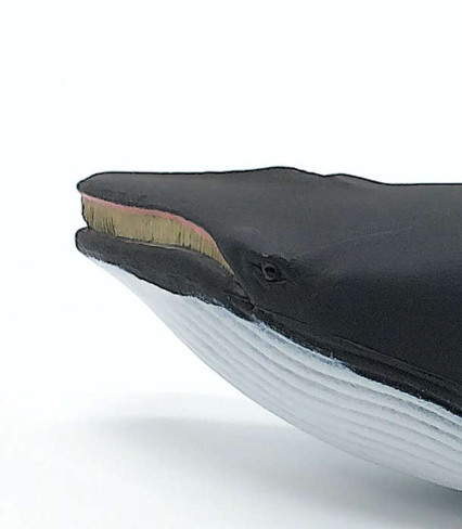 Safari Ltd. Minke Whale - Close Up Face View