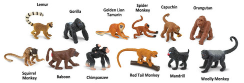Safari Ltd. Toy Figure - Monkeys and Apes Toob- Contents Picture