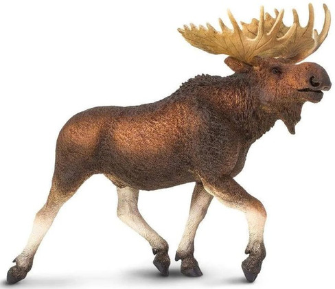 Safari Ltd. Moose Figure
