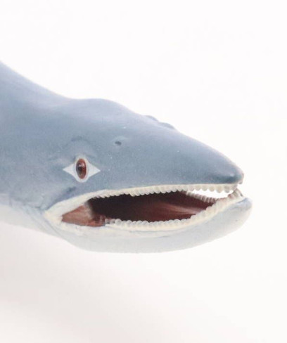 Safari Ltd. Mosasaurus Prehistoric Figure - Close Up Face View