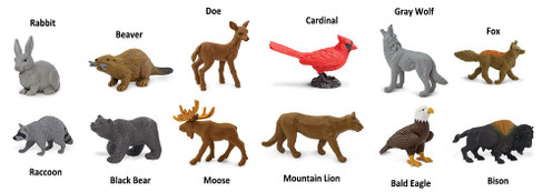 Safari Ltd. Toy Figure - Nature Toob- Contents Picture